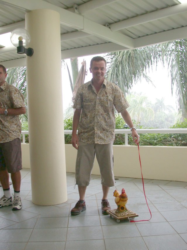 Chook going for a walk