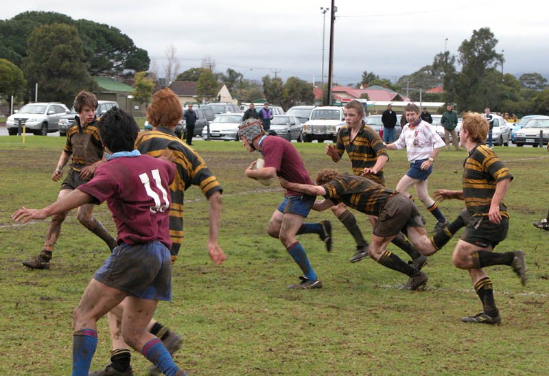 U15vBrtnGold WillM