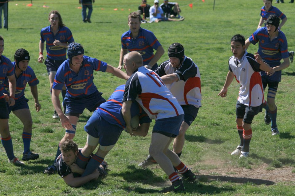 IMG 2855
