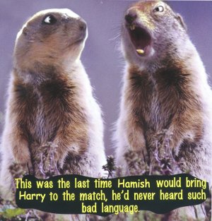Furry Creatures H